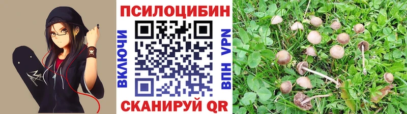 Псилоцибиновые грибы прущие грибы  mega   Ковров 